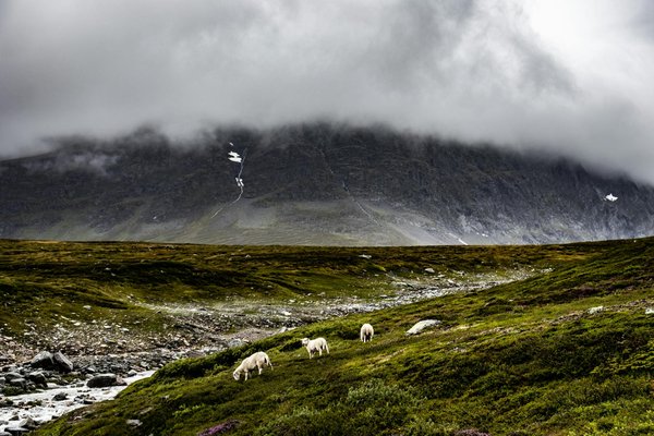 Mastering the Art of Pub Quiz Night: Essential Tips for Thriving in England's Traditional Trivia Scene