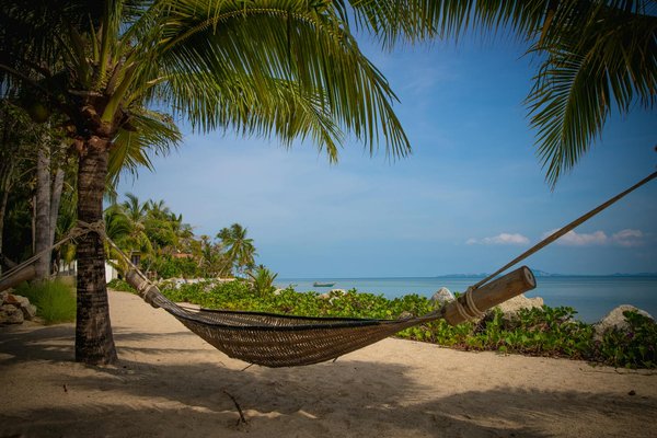 Discover UK Cruises Featuring Authentic Workshops in Traditional British Weaving Methods